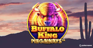 Buffalo King Megaways Port - Play for Real Money or Play